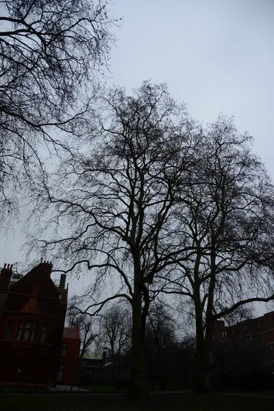 DSC_1187 (Large).JPG